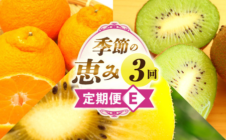 季節の恵み3回定期便E | 果物 フルーツ 青果 青果物 デザート スイーツ 果実 旬 季節 旬の果物 季節の果物 生鮮食品 生鮮 贈答 贈り物 ギフト プレゼント おすそ分け お祝い 内祝い ご褒美 人気 グルメ お取り寄せ 特産品 特産 国産 香川県 三木町 |_mk165-t020