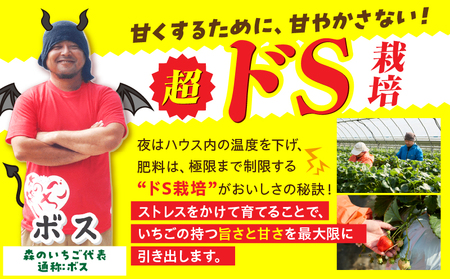 完熟さぬき姫 約600g | いちご 苺 さぬき姫 さぬきひめ 香川県オリジナル 希少 甘い 完熟 フルーツ 果物 旬 香川県 三木町 |_mk035-007