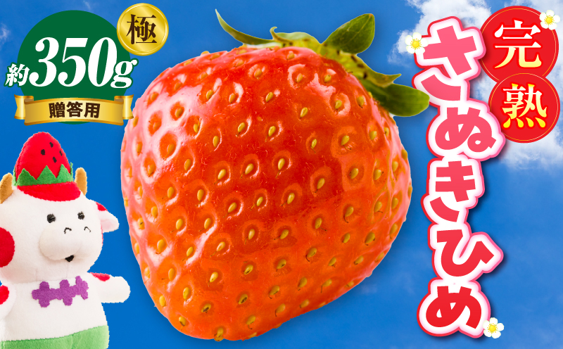 【先行予約】贈答用 完熟さぬき姫 極み 約350g | いちご 苺 さぬき姫 さぬきひめ 香川県オリジナル 希少 甘い 完熟 フルーツ 果物 旬 香川県 三木町 |_mk035-003