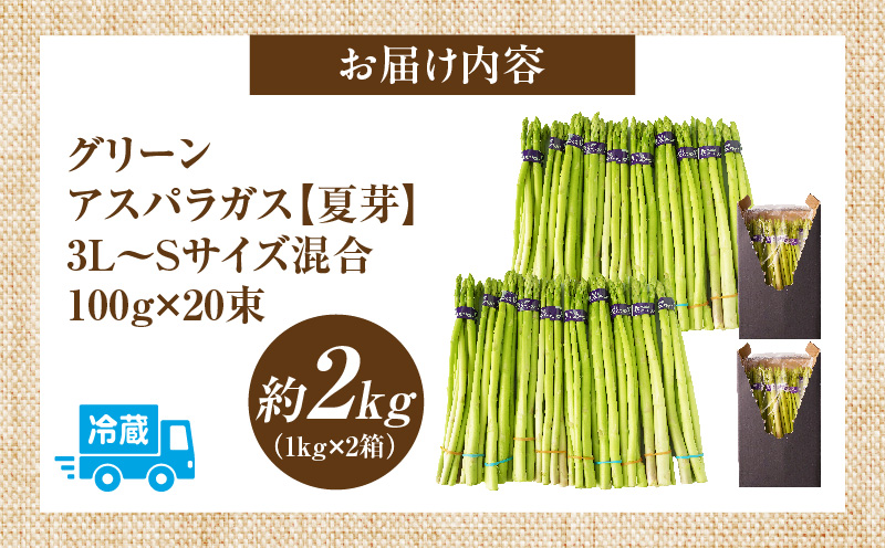 【先行受付】【夏芽】グリーンアスパラガス サイズ混合約2kg（1kg×2箱）  グリーンアスパラガス アスパラガス アスパラ 夏芽 おすすめ 混合 シャキシャキ 野菜 冷蔵 新鮮 新鮮野菜 香川県 国産 三木町 おすすめ mk006-005