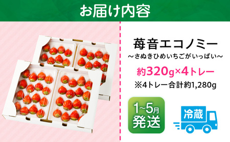 【2026年発送分 先行受付】苺音エコノミー　〜さぬきひめいちごがいっぱい〜　約1,280g | おすすめ 人気 果実 果肉 果物 フルーツ デザート 贈り物 苺 さぬきひめ 贈答 ご褒美 ギフト 旬の果物 季節の果物 旬 季節 青果物 香川県 三木町 |_mk137-001