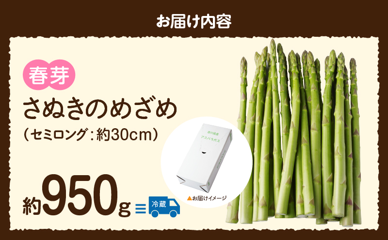 三木町産　香川オリジナルアスパラガス「さぬきのめざめ」　セミロング　春芽　約950ｇ | 野菜 アスパラ アスパラガス さぬきのめざめ 春 冷蔵 新鮮 香川県 三木町 セミロング おすすめ |_mk006-038
