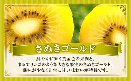 キウイフルーツ(さぬきゴールド)　2.7kg | キウイ フルーツ 果物 旬 旬の果物 キウイフルーツ デザート 生鮮食品 贈り物 贈答 お裾分け おすすめ 人気 ギフト グルメ 特産品 果肉 季節 季節の果物 香川県 三木町 |_mk165-011