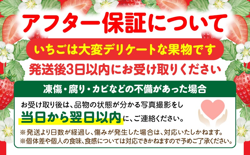 【先行予約】苺音エコノミー　〜さぬきひめいちごがいっぱい〜　約1,280g | おすすめ 人気 果実 果肉 果物 フルーツ デザート 贈り物 苺 さぬきひめ 贈答 ご褒美 ギフト 旬の果物 季節の果物 旬 季節 青果物 香川県 三木町 |_mk137-001