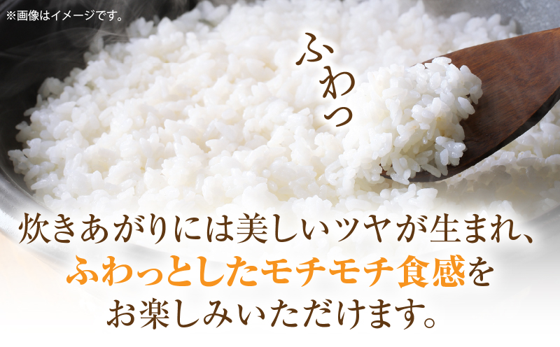 ＜数量限定＞【令和7年度産】里山の誇り 朝倉獅子米 コシヒカリ 5kg | 新米 コシヒカリ こしひかり 5kg 米 白米 ごはん ご飯 白ご飯 おにぎり お弁当 おむすび お米 国産 美味しい ツヤ モチモチ 精米 おすすめ 香川県 三木町 |_mk172-001