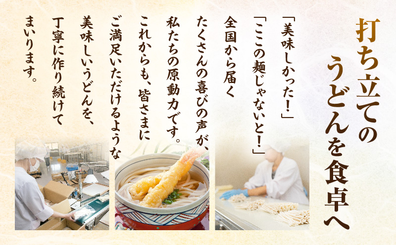 工場直送打ち立て生さぬきうどん8ケ入（つゆ付）| うどん さぬきうどん 讃岐うどん 工場直送 生讃岐うどん めんつゆ付き モチモチ 打ち立て 本場 伝統 香川 生うどん 三木町|_mk041-005