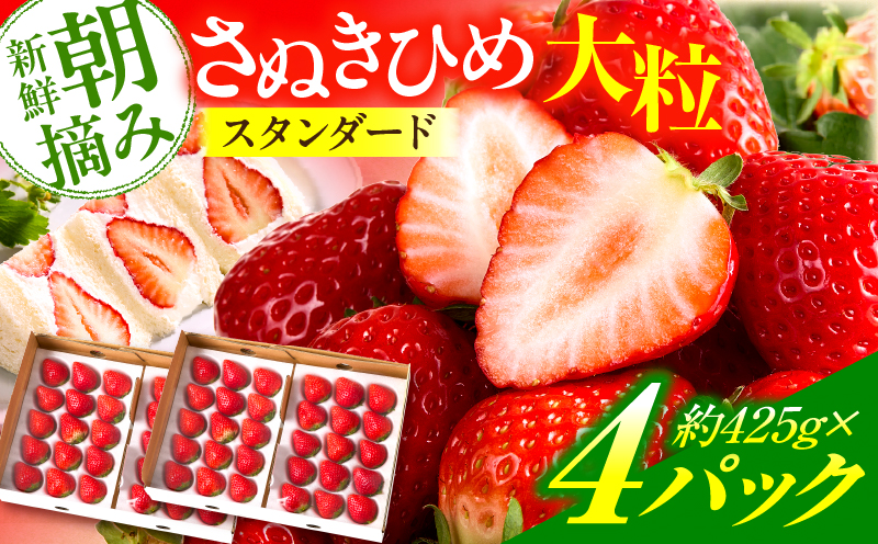 【先行予約】『苺音ファームの』おうちでいちご狩り気分セット　〜さぬきひめいちごをいっぱい食べられる大容量セット〜　約1.7kg|イチゴ フルーツ 旬のいちご 旬 果物 デザート 旬の果物 果実 ご褒美 季節 甘い 国産 ギフト お取り寄せ 贈答 贈り物 プレゼント 香川県 三木町 |_mk137-005