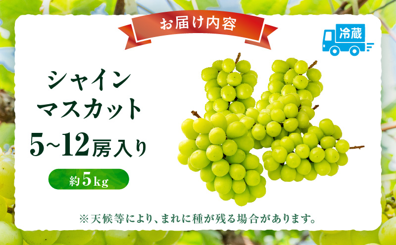 【先行受付】シャインマスカット 5〜12房入り(約5kg)  マスカット ぶどう ブドウ 葡萄 果物 フルーツ 人気 香川 香川県 三木町 種なし 皮ごと食べられる ジューシー 旬 おすすめ mk006-108