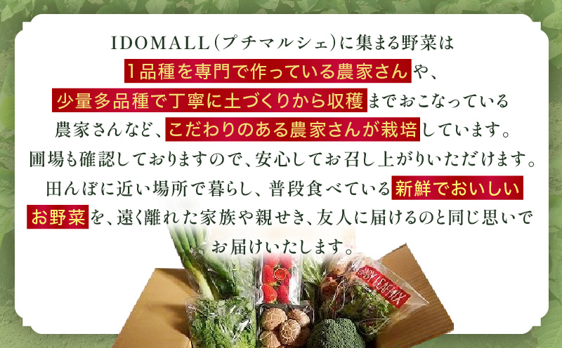 プチマルシェお野菜ボックス(Ｍ)　季節の野菜８〜９種類　≪　IDOMALL　セレクト≫|野菜 新鮮 冷蔵 旬 香川県 野菜ボックス 季節の野菜 青果物 季節 マルシェ 冷蔵 おすすめ|_mk048-004