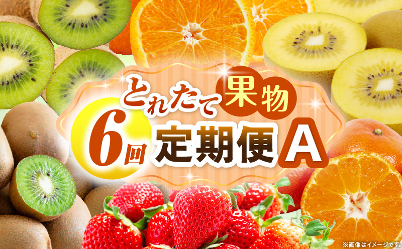 とれたて果物 6回定期便A 果物 フルーツ 果物定期便 フルーツ定期便 定期便 いちご キウイ デコポン みかん 濃厚 旬の果物 定期 人気 おすすめ 贈答 贈り物 青果物 糖度 香川県 _mk165-t083