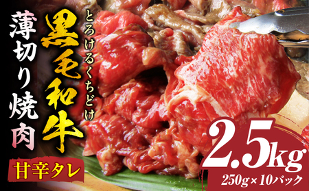 とろける黒毛和牛リッチな薄切り焼肉2.5kg(250g×10P)　秘伝のタレ漬け|肉 黒毛和牛 焼肉 タレ 漬け 秘伝 柔らかい 味付き やきにく ロース 肩ロース サーロイン カルビ モモ 薄切り 希少 小分け 冷凍 BBQ バーベキュー 香川県 三木町|_mk146-021