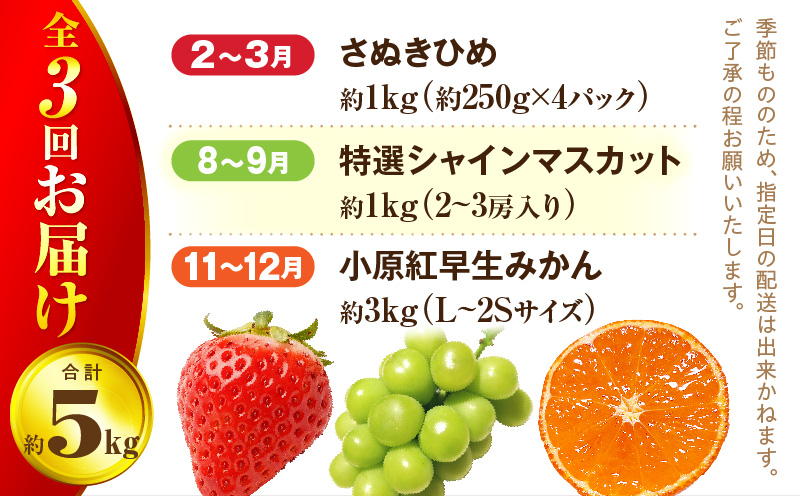 さぬき旬のフルーツ満足 3回定期便 | フルーツ定期便 果物 フルーツ 青果 青果物 いちご みかん シャインマスカット さぬきひめ 小原紅早生みかん マスカット 旬の果物 季節の果物 贈答 贈り物 ギフト 化粧箱 取り寄せ 香川県 三木町 送料無料 |_mk006-t013