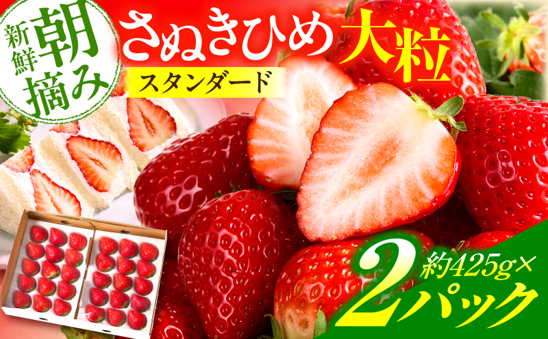 【先行予約】苺音スタンダード〜春の大粒のさぬきひめいちご〜　約850ｇ | スイーツ いちご イチゴ ストロベリー さぬきひめ さぬき姫 苺 冷蔵 フルーツ 旬 果物 香川県 デザート 青果物 おすすめ |_mk137-003