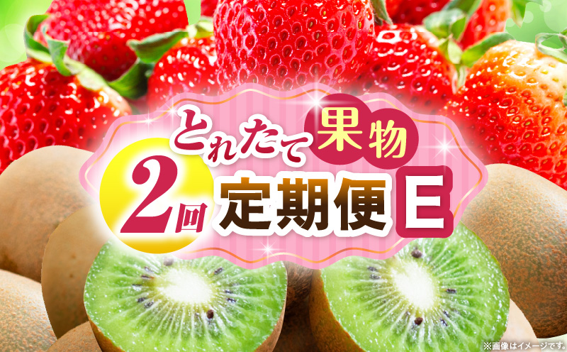 とれたて果物 2回定期便E 果物 フルーツ 果物定期便 フルーツ定期便 定期便 いちご キウイ濃厚 旬の果物 定期 人気 おすすめ 贈答 贈り物 青果物 糖度 香川県 _mk165-t055