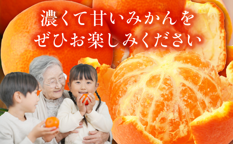 ãå
è¡åä»ãããŠã¹ãã¬ãçŽ
ã¿ãã çŽ1kg 10-18ç (åç²§ç®±å
¥ã)ãéŠå·çå
±éè¿ç€Œåã|ãã¬ã ãã¬ãçŽ
ã¿ãã çŽ
ã¿ãã å°åæ©ç å°åæ©çã¿ãã æäžéçŽ åç²§ç®± èŽãç© èŽããã® ã®ãã å³éž æç© ãã«ãŒã äººæ° éŠå· éŠå·ç äžæšçº ããŠã¹æ œå¹ ãžã¥ãŒã·ãŒ ç³åºŠãé«ã å
è¡åä» å
è¡äºçŽ å£ç¯éå® æ¬ ãããã |_mk006-045