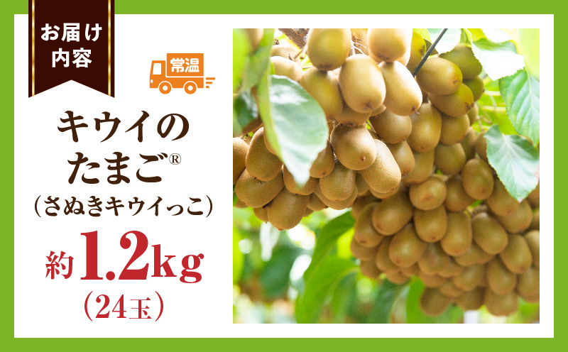 ãã€ã¶ã§ã¡ã
ãã ããŠã€ãã«ãŒã(ããŠã€ã®ããŸã?)(ããŠã€ã£ã) çŽ1.2kg |æç© ãã«ãŒã ãã¬ã ããŠã€ã£ã ããŠã€ãã«ãŒã ã°ãªãŒã³ ããŠã€ å°ãã æ¿å ãã¬ãã·ã¥ ãžã¥ãŒã·ãŒ éŠã çœãã æ¬ã®æç© äººæ° ãããã èŽç èŽãç© éæç© ç³åºŠ éŠå·ç äžæšçº |_mk165-020