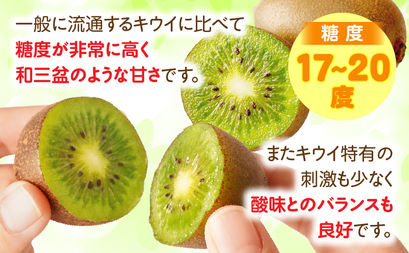【先行受付】香川県オリジナルキウイフルーツ「さぬきキウイっこ」約1kg【香川県共通返礼品】 | キウイ キウイフルーツ 果物 フルーツ 青果 青果物 さぬきキウイっこ 果実 贈答 贈り物 ギフト 甘い 糖度が高い 季節のフルーツ 旬 おすすめ 香川県 三木町 |_mk006-053