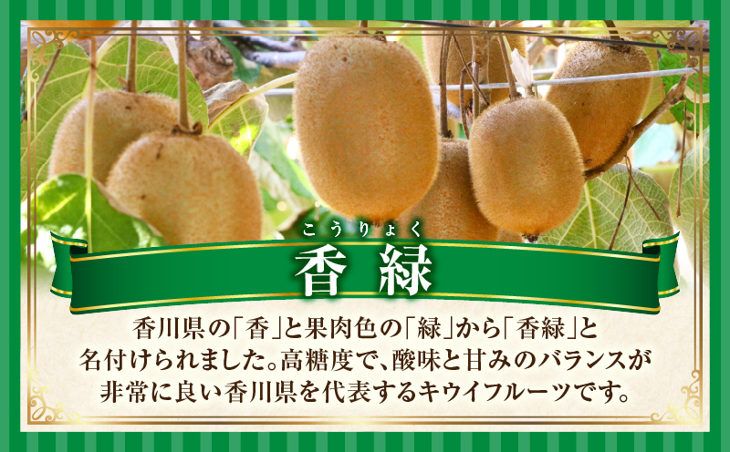 ããŠã€ãçŸããç·ãé®®ãããªãéŠç· çŽ750g | æç© ãã«ãŒã éŠç· ããããã ããŠã€ ã°ãªãŒã³ ãã¬ãã·ã¥ ãžã¥ãŒã·ãŒ éŠã çœãã æ¬ã®æç© äººæ° ãããã èŽç èŽãç© éæç© ç³åºŠ éŠå·ç äžæšçº |_mk165-018