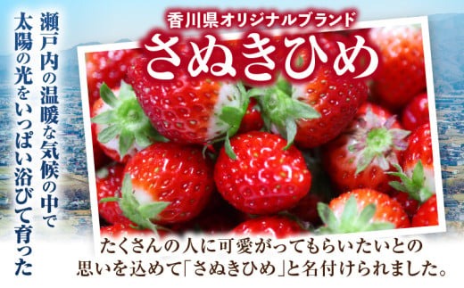 ”あえて”小粒いちご　極甘さぬき姫1,200g×1箱 | いちご 小粒 高級 さぬき姫 果物 フルーツ おすすめ 旬 イチゴ 季節 旬の果物 ギフト パック 果実 贈り物 化粧箱 贈答用 デザート 人気 果肉 生鮮食品 国産 冷蔵 香川県 三木町 |_mk165-004