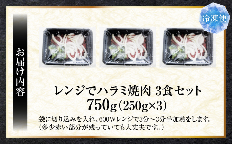 ã¬ã³ãžã§ç°¡åãã©ãçŒèã250gÃ3é£ã»ããã(ç·éé750g)éèå
¥ã| çè çŒè æããã å³ä»ã äžè³ª ãã©ã éè çãã ãããã³ãªãŒ å·å éŠå·ç äžæšçº åœç£ ãããã |_mk146-235