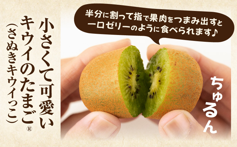 ããŠã€ãã«ãŒã(ããŠã€ã®ããŸã?)(ããŠã€ã£ã) 1.8kg | ããŠã€ ãã«ãŒã æç© æ¬ æ¬ã®æç© ããŠã€ãã«ãŒã ãã¶ãŒã çé®®é£å èŽãç© èŽç ã裟åã ãããã äººæ° ã®ãã ã°ã«ã¡ ç¹ç£å æè å£ç¯ å£ç¯ã®æç© éŠå·ç äžæšçº |_mk165-008