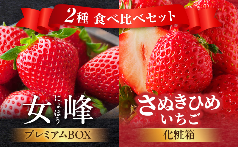 [数量限定]厳選いちご2種 食べ比べセット|スイーツ いちご ストロベリー さぬき姫 さぬきひめ 女峰 食べ比べ 苺 セット 定期便 冷蔵 甘い フルーツ 旬 果物 香川県 デザート 青果物 贈答 プレゼント 化粧箱 贈り物 旬 おすすめ|_mk006-g001