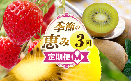 季節の恵み3回定期便M | 果物 フルーツ 青果 青果物 デザート スイーツ 果実 旬 季節 旬の果物 季節の果物 生鮮食品 生鮮 贈答 贈り物 ギフト プレゼント おすそ分け お祝い 内祝い ご褒美 人気 グルメ お取り寄せ 特産品 特産 国産 香川県 三木町 |_mk165-t044