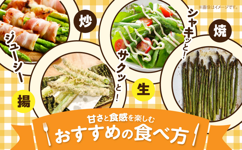 三木町産　香川オリジナルアスパラガス「さぬきのめざめ」　セミロング　春芽　約950ｇ | 野菜 アスパラ アスパラガス さぬきのめざめ 春 冷蔵 新鮮 香川県 三木町 セミロング おすすめ |_mk006-038