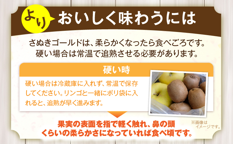 訳ありご家庭用さぬきゴールドキウイ約1kg【香川県共通返礼品】 | 果物 フルーツ さぬきゴールド キウイ キウイフルーツ フレッシュ ジューシー 香り 爽やか 旬の果物 人気 おすすめ 贈答 贈り物 青果物 糖度 香川県 三木町 |_mk006-095