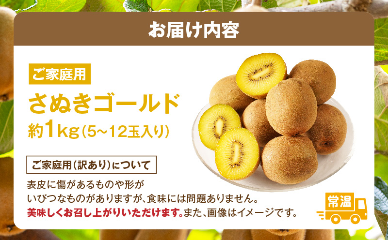 訳ありご家庭用さぬきゴールドキウイ約1kg【香川県共通返礼品】 | 果物 フルーツ さぬきゴールド キウイ キウイフルーツ フレッシュ ジューシー 香り 爽やか 旬の果物 人気 おすすめ 贈答 贈り物 青果物 糖度 香川県 三木町 |_mk006-095