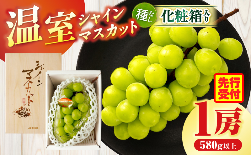 温室シャインマスカット　1房化粧箱入り(580g以上) | マスカット ハウス ぶどう ブドウ 葡萄 果物 フルーツ 人気 香川 香川県 三木町 種なし 皮ごと食べられる ジューシー 化粧箱 旬 おすすめ |_mk006-033