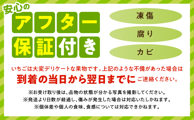 【先行予約】苺音エコノミー　〜さぬきひめいちご約1,280g〜3回定期便 | おすすめ 人気 果実 果肉 果物 フルーツ デザート 贈り物 苺 さぬきひめ 贈答 ご褒美 ギフト 旬の果物 季節の果物 旬 季節 青果物 香川県 三木町 |_mk137-t001