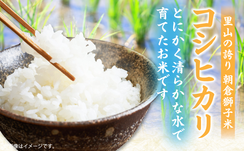 ＜数量限定＞【令和7年度産】里山の誇り 朝倉獅子米 コシヒカリ 5kg | 新米 コシヒカリ こしひかり 5kg 米 白米 ごはん ご飯 白ご飯 おにぎり お弁当 おむすび お米 国産 美味しい ツヤ モチモチ 精米 おすすめ 香川県 三木町 |_mk172-001