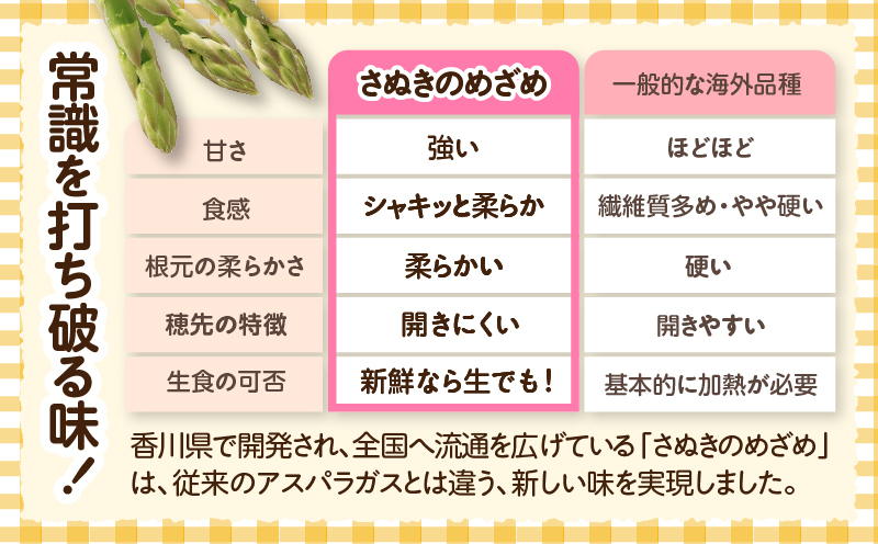 三木町産　香川オリジナルアスパラガス「さぬきのめざめ」　セミロング　春芽　約950ｇ | 野菜 アスパラ アスパラガス さぬきのめざめ 春 冷蔵 新鮮 香川県 三木町 セミロング おすすめ |_mk006-038