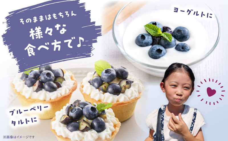 完熟生ブルーベリー約500g|生ブルーベリー 完熟 フルーツ 眼に良い フレッシュ ジューシー 香り 旬の果物 香川県 三木町 |_mk173-005