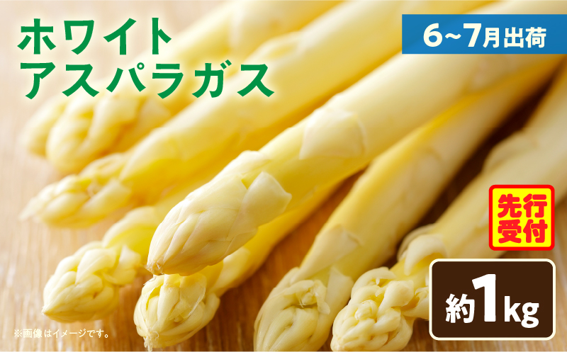 【先行予約】ホワイトアスパラガス約1kg（6〜7月出荷）|アスパラ アスパラガス ホワイトアスパラガス 新鮮 素材の味 夏野菜 直送 香川県 三木町|_mk002-003