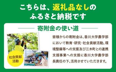 【お礼の品なし】大学支援事業（香川大学農学部）100,000円 | 支援 ふるさと支援 地元応援 応援 地元支援 教育・研究・社会貢献活動 環境整備 香川県 三木町 |_mk169-004