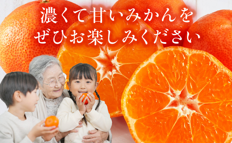 【先行受付】小原紅早生みかん約5.0kg（大玉）3L-2L【香川県共通返礼品】  小原紅早生 甘い みかん ミカン 大玉 柑橘 柑橘系 果物 フルーツ 青果 デザート グルメ おすすめ 贈答 贈り物 贈答用 ギフト プレゼント 特産品 特産 取り寄せ 香川県 三木町 mk006-075