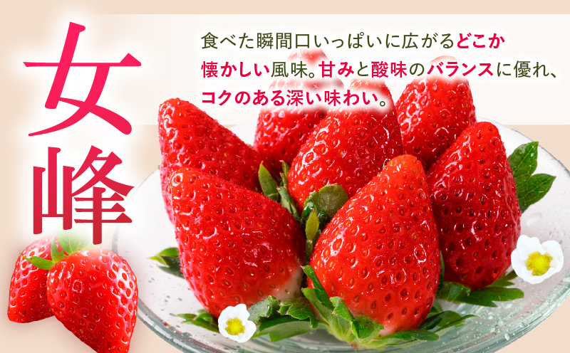 あぐりぼん　いちご「女峰」　詰め合わせ約1.4kg　（約700g×2箱）|いちご 果物 フルーツ デザート ストロベリー 果肉 スイーツ 甘い 国産 贈り物 贈答 プレゼント グルメ 人気 おすすめ 季節 旬 旬の果物 詰め合わせ 香川県 三木町 送料無料|_mk144-012