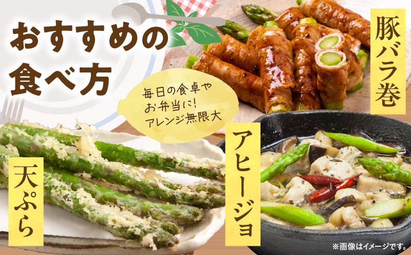 【先行受付】【夏芽】グリーンアスパラガス サイズ混合約1kg | グリーンアスパラガス アスパラガス アスパラ 夏芽 おすすめ 混合 シャキシャキ 野菜 冷蔵 新鮮 新鮮野菜 香川県 国産 三木町 おすすめ |_mk006-003