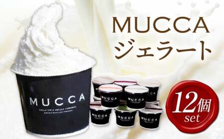 MUCCAジェラート　12個セット|ジェラート 12個 MUCCA サンセットミルク アイス デザート スイーツ 牧場育ち 香川県 三木町|_mk024-001