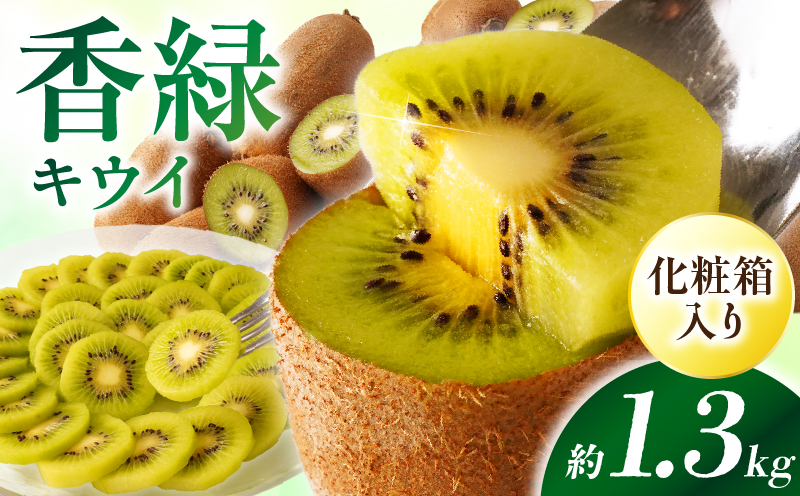 [先行受付]香川県オリジナルキウイフルーツ「香緑」約1.3kg 化粧箱[香川県共通返礼品] キウイ フルーツ 果物 香川県 香緑 デザート サラダ ヨーグルト トッピング 国産 季節限定 青果物 旬 おすすめ mk006-068