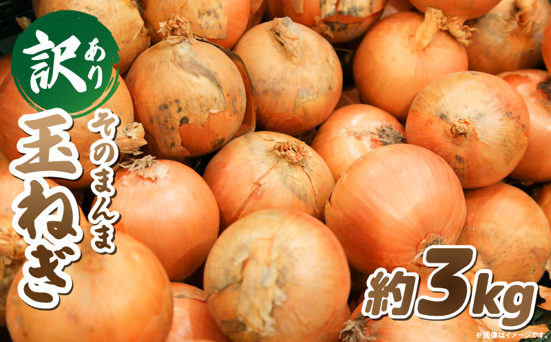 訳ありそのまんま玉ねぎ 約3kg |玉ねぎ 野菜 甘い オニオン 香川 香川県 三木町 みずみずしい 訳あり 生産者応援 ご家庭用 |_mk006-118