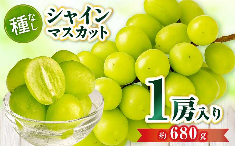 【先行受付】シャインマスカット 1房入り(約680g)  マスカット ぶどう ブドウ 葡萄 果物 フルーツ 人気 香川 香川県 三木町 種なし 皮ごと食べられる ジューシー 旬 おすすめ mk006-106