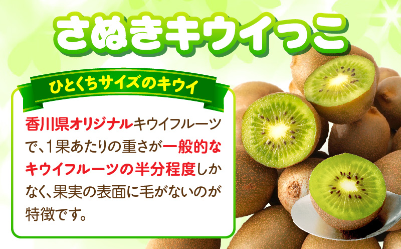 小さくて可愛らしいキウイ　さぬきキウイっこ約800g | キウイ キウイフルーツ 果物 フルーツ 青果 青果物 さぬきキウイっこ 果実 贈答 贈り物 ギフト 甘い 糖度が高い 季節のフルーツ 旬 おすすめ 香川県 三木町 |_mk006-096
