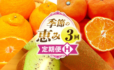 季節の恵み3回定期便H | 果物 フルーツ 青果 青果物 デザート スイーツ 果実 旬 季節 旬の果物 季節の果物 生鮮食品 生鮮 贈答 贈り物 ギフト プレゼント おすそ分け お祝い 内祝い ご褒美 人気 グルメ お取り寄せ 特産品 特産 国産 香川県 三木町 |_mk165-t023