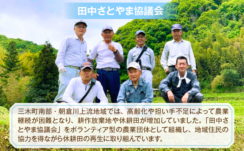 ＜数量限定＞【令和7年度産】里山の誇り 朝倉獅子米 コシヒカリ 5kg | 新米 コシヒカリ こしひかり 5kg 米 白米 ごはん ご飯 白ご飯 おにぎり お弁当 おむすび お米 国産 美味しい ツヤ モチモチ 精米 おすすめ 香川県 三木町 |_mk172-001