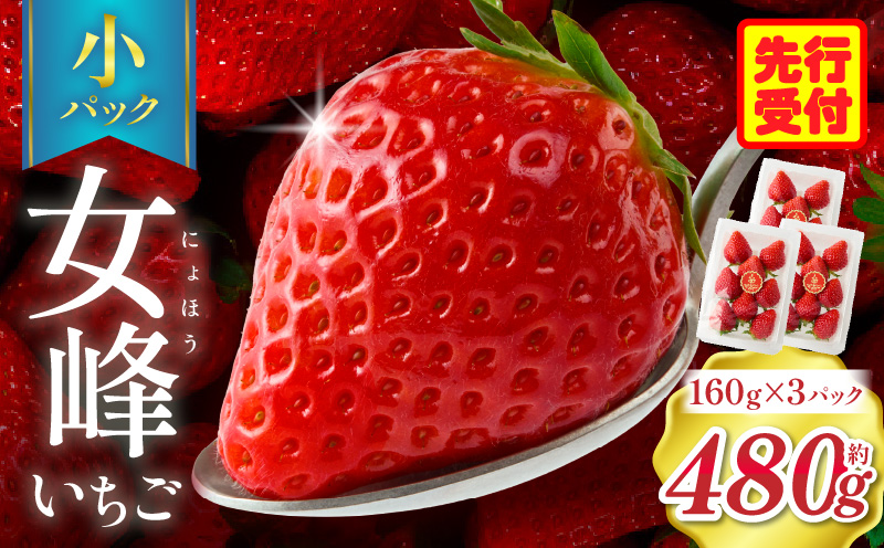 【苺ファーム森本】女峰いちご 小パック160g×3パック ≪IDOMALL セレクト≫|スイーツ いちご ストロベリー 女峰 苺 ジャム いちごジャム フルーツ 旬 果物 香川県 デザート 青果物 贈答 プレゼント 贈り物 おすすめ|_mk048-011