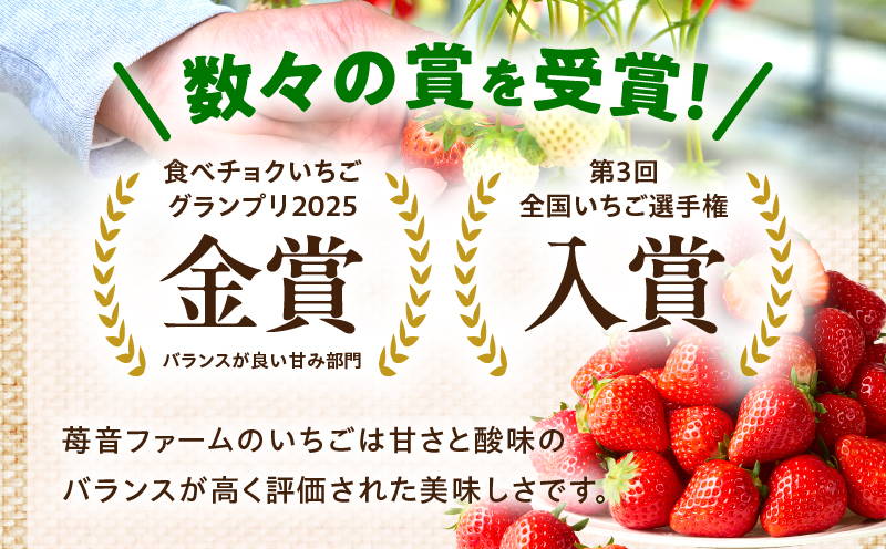 【先行予約】苺音エコノミー　〜さぬきひめいちご約1,280g〜3回定期便 | おすすめ 人気 果実 果肉 果物 フルーツ デザート 贈り物 苺 さぬきひめ 贈答 ご褒美 ギフト 旬の果物 季節の果物 旬 季節 青果物 香川県 三木町 |_mk137-t001