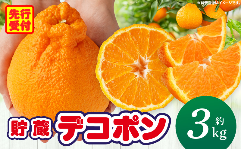 貯蔵デコポン約3kg(8～16玉)【香川県共通返礼品】 | デコポン 甘い 酸味 柑橘 柑橘系 果物 フルーツ 青果 デザート グルメ おすすめ 贈答 贈り物 贈答用 ギフト プレゼント 特産品 特産 取り寄せ 香川県 三木町 |_mk006-050
